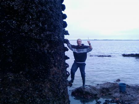 la p�che aux moules et aux huitres...